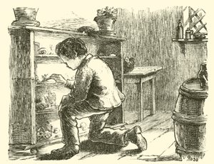 Edward Forbes, arrangeant son musée miniature - English School